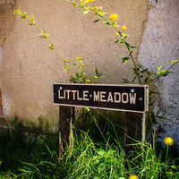Buy canvas prints of Little Meadow by Mark Llewellyn