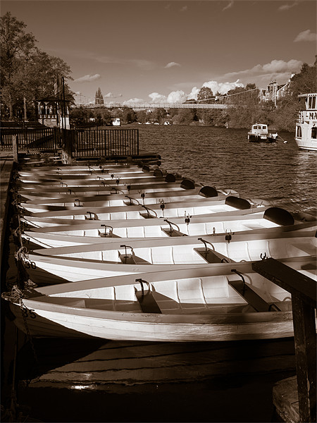 Rowing Boats, River Dee, Chester, England, UK Picture Board by Mark Llewellyn