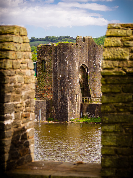 Caerphilly Castle, Wales, UK Picture Board by Mark Llewellyn