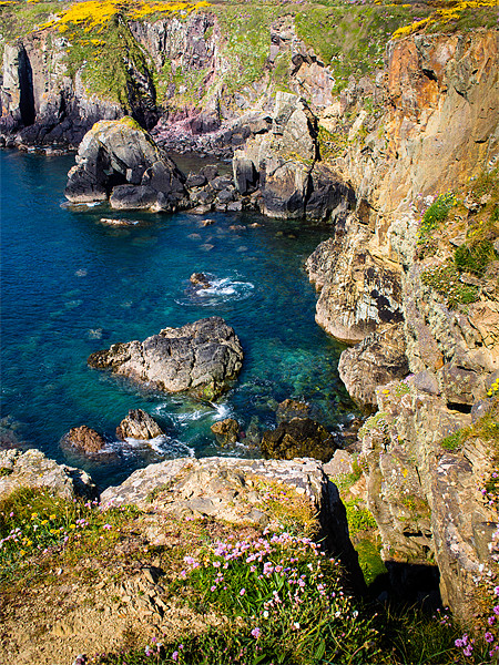 St Nons Bay, Pembrokeshire, Wales, UK Picture Board by Mark Llewellyn
