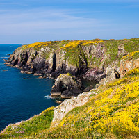 Buy canvas prints of St Nons Bay, Pembrokeshire, Wales, UK by Mark Llewellyn