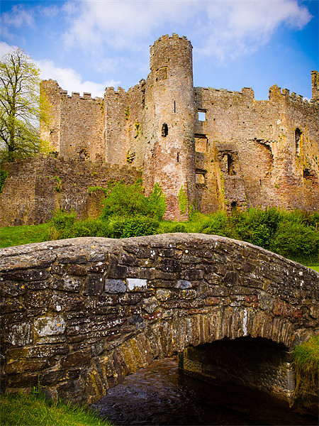 Laugharne Castle, Wales, UK Picture Board by Mark Llewellyn