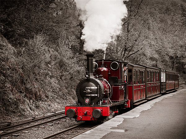 Talyllyn Railway, Wales, UK Picture Board by Mark Llewellyn