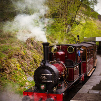 Buy canvas prints of Steam Locomotive Dolgoch, Talyllyn, Wales, UK by Mark Llewellyn