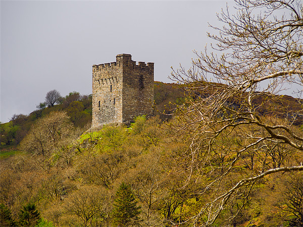 Dolwyddelan Castle, Conwy, Wales, UK Picture Board by Mark Llewellyn