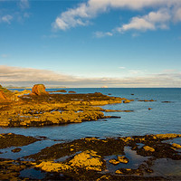 Buy canvas prints of Bass Rock, Dunbar, Scotland, UK by Mark Llewellyn