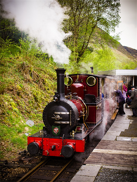 Steam Locomotive Dolgoch, Talyllyn, Wales, UK Picture Board by Mark Llewellyn