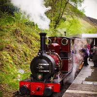 Buy canvas prints of Steam Locomotive Dolgoch, Talyllyn, Wales, UK by Mark Llewellyn