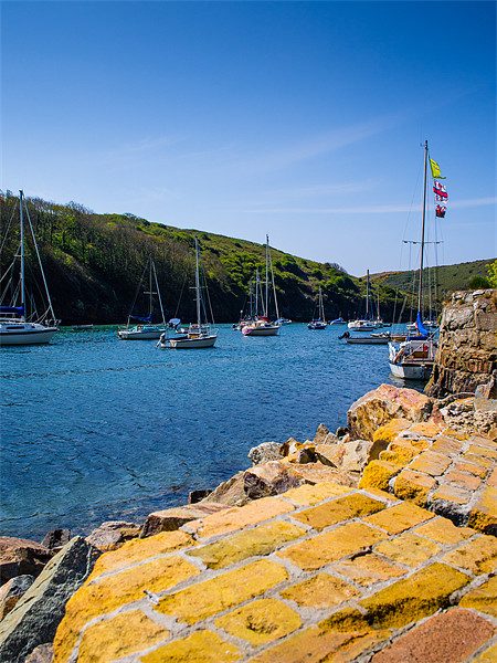 Solva Harbour, Pembrokeshire, Wales, UK Picture Board by Mark Llewellyn