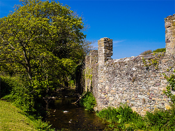 Abbey Walls, St Davids, Pembrokeshire, Wales, UK Picture Board by Mark Llewellyn