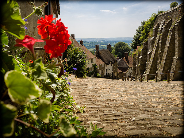 Gold Hill, Shaftesbury, Dorset, England, UK Picture Board by Mark Llewellyn