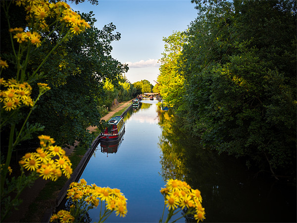 Kennet and Avon Canal, Kintbury, Berkshire, Englan Picture Board by Mark Llewellyn