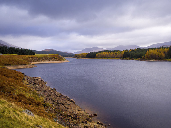 Loch Laggan, Scotland, UK Picture Board by Mark Llewellyn