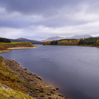Buy canvas prints of Loch Laggan, Scotland, UK by Mark Llewellyn