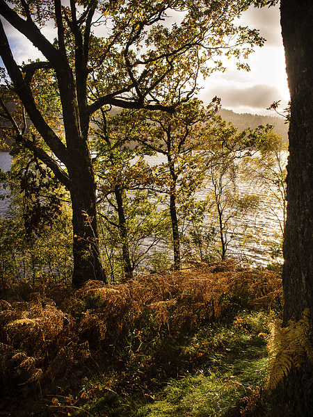 Loch Garry, Scotland, UK Picture Board by Mark Llewellyn