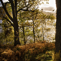 Buy canvas prints of Loch Garry, Scotland, UK by Mark Llewellyn