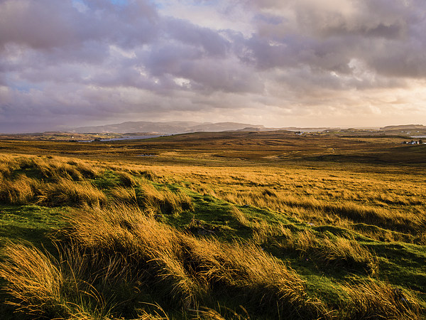Isle of Skye Moorland, Scotland, UK Picture Board by Mark Llewellyn