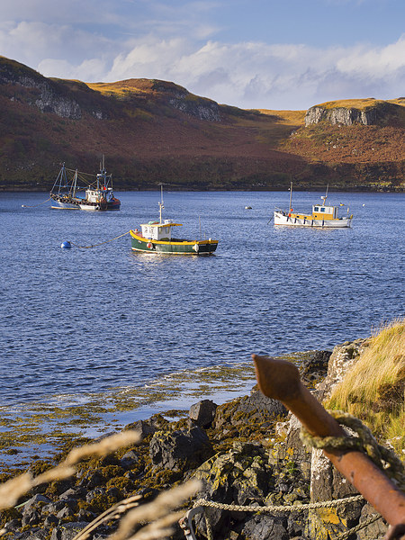 Skye Fishing Boats, Skye, Scotland, UK Picture Board by Mark Llewellyn