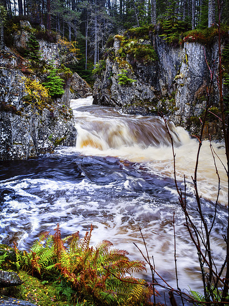 Laggan Falls, Scotland, UK Picture Board by Mark Llewellyn
