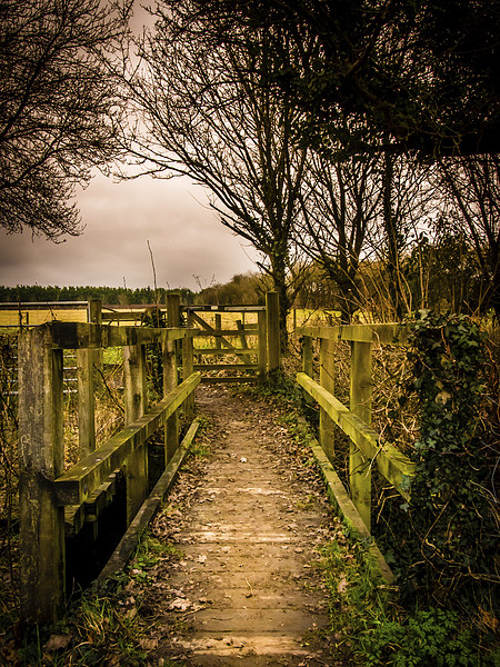 Wooden Footbridge Picture Board by Mark Llewellyn