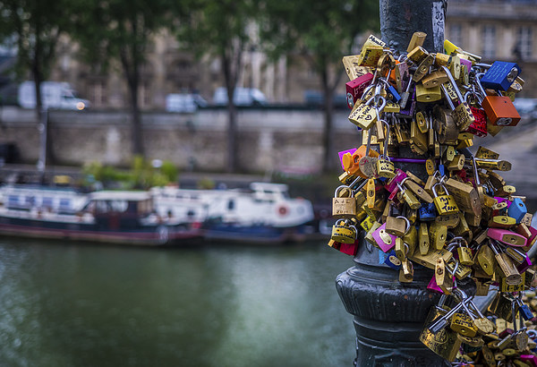 Lovers Locks, Pont des Arts, Paris, France Picture Board by Mark Llewellyn