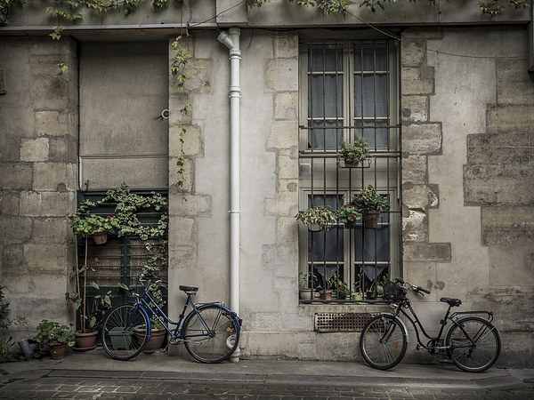 Bicycles, Paris, France Picture Board by Mark Llewellyn