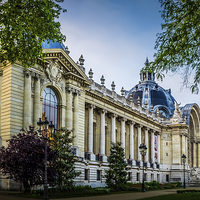 Buy canvas prints of Le Petit Palais, Paris, France by Mark Llewellyn