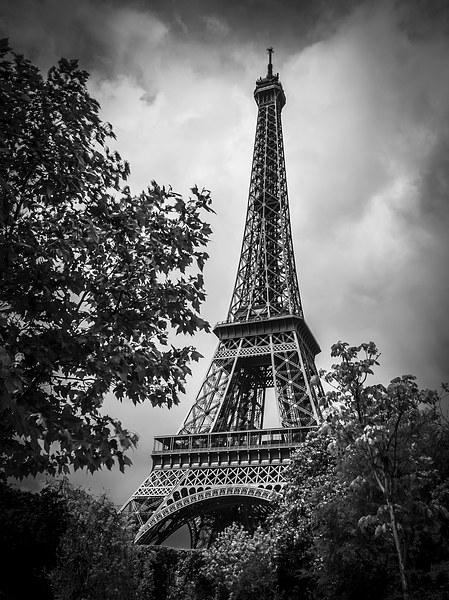 Eiffel Tower, Paris, France Picture Board by Mark Llewellyn