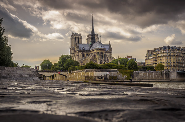Notre Dame Cathedral, Paris, France Picture Board by Mark Llewellyn