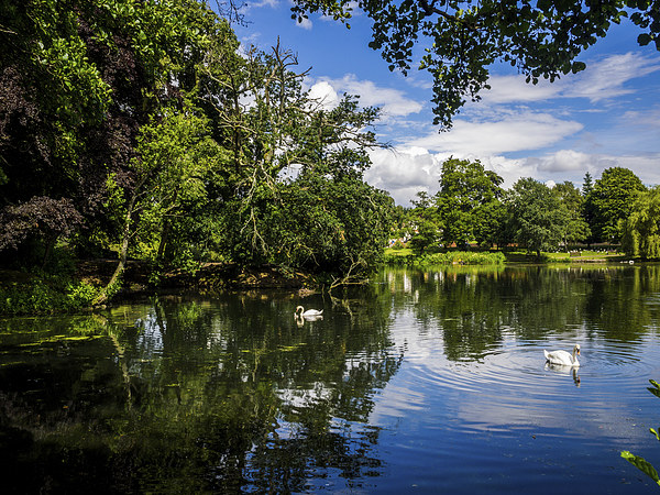 Roath Park Lake, Cardiff, Wales, UK Picture Board by Mark Llewellyn