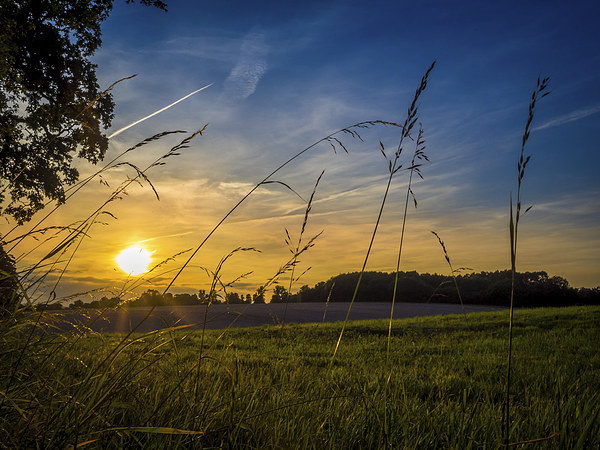 Summer Sunset, Hungerford, Berkshire, England, UK Picture Board by Mark Llewellyn