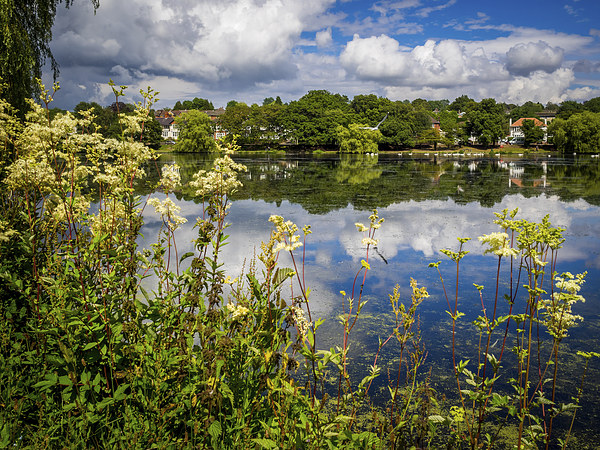 Reflections of Roath Park, Cardiff, Wales, UK Picture Board by Mark Llewellyn