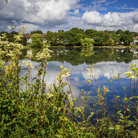 Buy canvas prints of Reflections of Roath Park, Cardiff, Wales, UK by Mark Llewellyn
