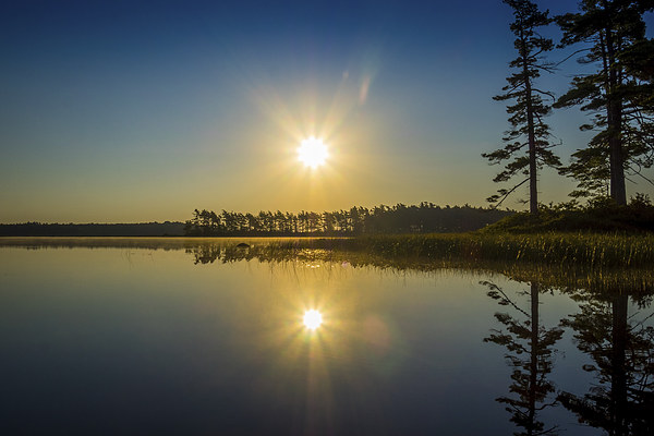 Kejimkujik Dawn, Nova Scotia, Canada Picture Board by Mark Llewellyn