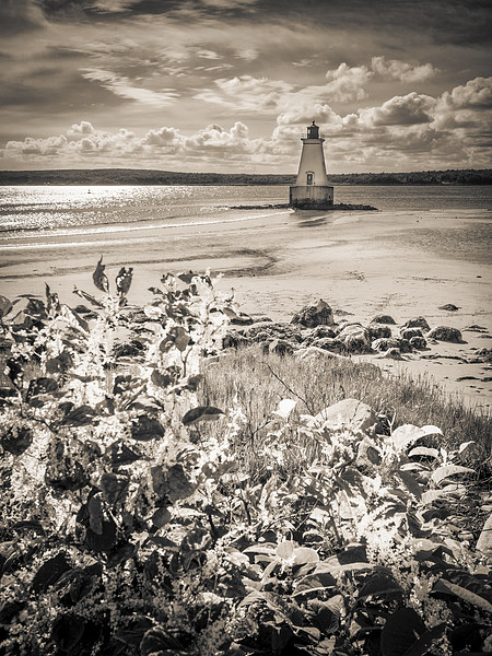 Sandy Point Lighthouse, Shelburne, Nova Scotia, Ca Picture Board by Mark Llewellyn