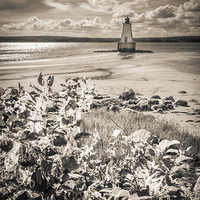 Buy canvas prints of Sandy Point Lighthouse, Shelburne, Nova Scotia, Ca by Mark Llewellyn