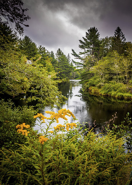 Jakes Falls, Nova Scotia, Canada Picture Board by Mark Llewellyn
