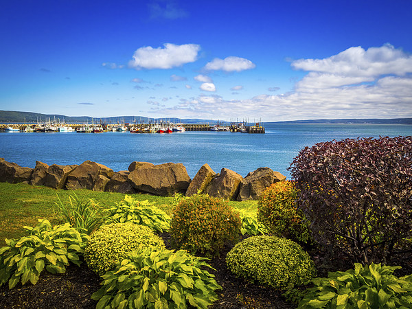 Seafront and Harbour, Digby, Nova Scotia, Canada Picture Board by Mark Llewellyn