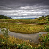 Buy canvas prints of  Port Granville Marshes, Nova Scotia, Canada by Mark Llewellyn