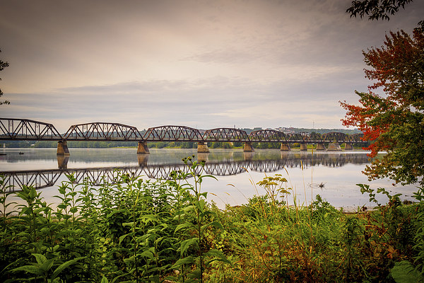 Railway Bridge, Fredericton, New Brunswick, Canada Picture Board by Mark Llewellyn