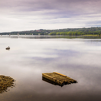 Buy canvas prints of Saint John River, Fredericton, New Brunswick, Cana by Mark Llewellyn