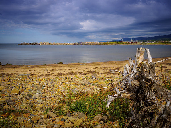 Inverness Beach, Cape Breton, Canada Picture Board by Mark Llewellyn