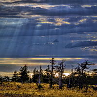 Buy canvas prints of Skyline Trail Evening, Cape Breton, Canada by Mark Llewellyn