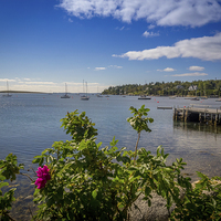 Buy canvas prints of Chester Harbour Yacht Club, Nova Scotia, Canada by Mark Llewellyn