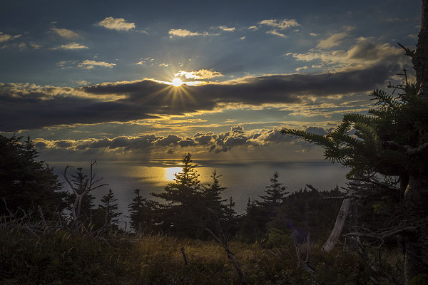 Skyline Trail Sunset, Cape Breton, Canada Picture Board by Mark Llewellyn
