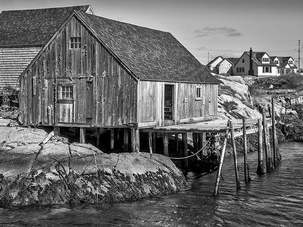 Peggys Cove, Nova Scotia, Canada Picture Board by Mark Llewellyn