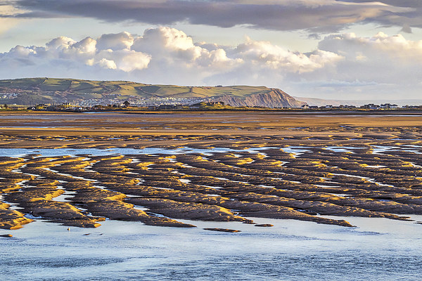 Low Tide at Aberdovey, Wales, UK Picture Board by Mark Llewellyn