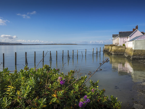 Waterfront Cottages, Aberdovey, Gwynedd, Wales, UK Picture Board by Mark Llewellyn