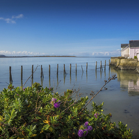 Buy canvas prints of Waterfront Cottages, Aberdovey, Gwynedd, Wales, UK by Mark Llewellyn