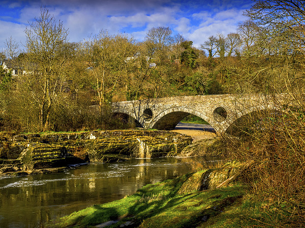 The Old Road Bridge, Cenarth, Carmarthenshire, Wal Picture Board by Mark Llewellyn